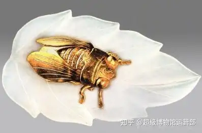 金蝉玉叶故事分享