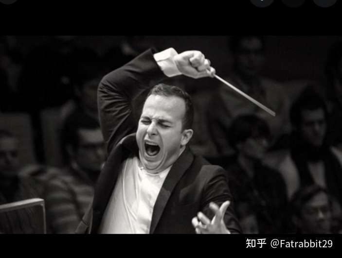 家,指挥贝多芬乐曲时,碰到难听的段落,不演假陶醉,而会做出真实的表情