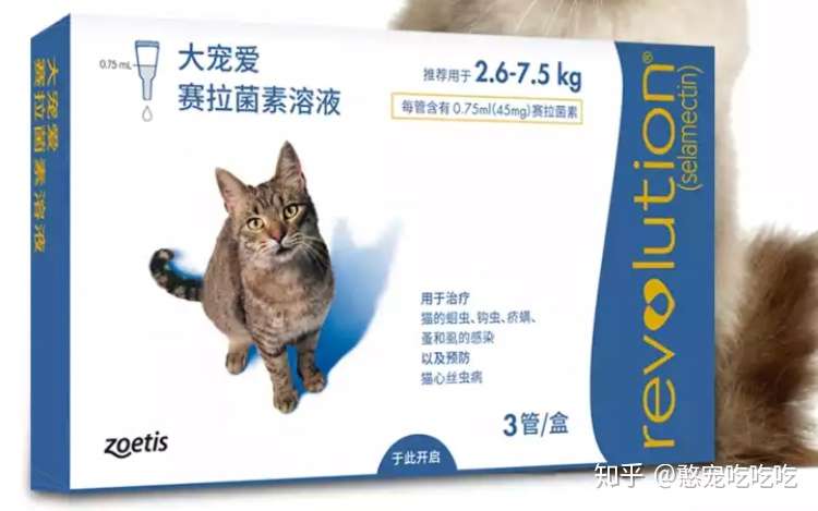 猫咪体内外驱虫科普篇 知乎