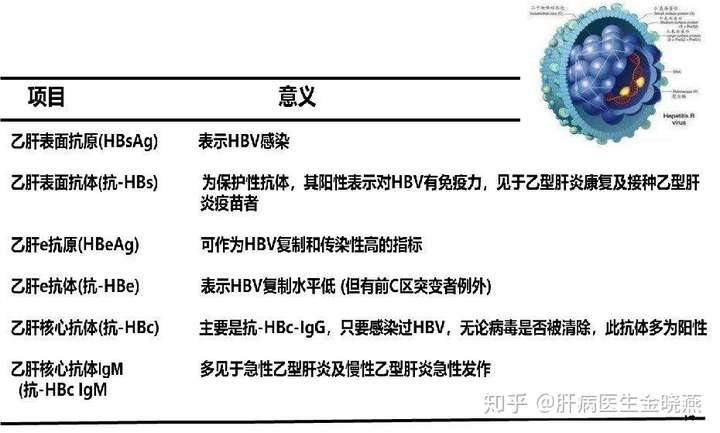乙肝大三阳患者发生e抗原转换，对于乙肝治疗意味着什么？