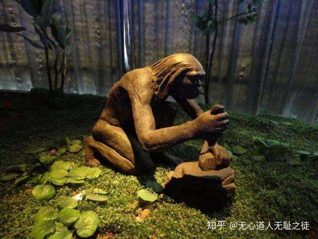 50万年云南元谋人 安徽东至人印尼桑义兰爪哇人颅骨萨拉乌苏河谷剖面水洞沟遗址遗址考古 知乎