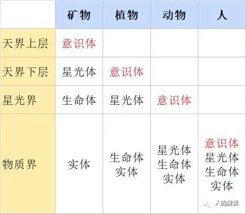 灵魂的洄游，人生的圆满-人的解读