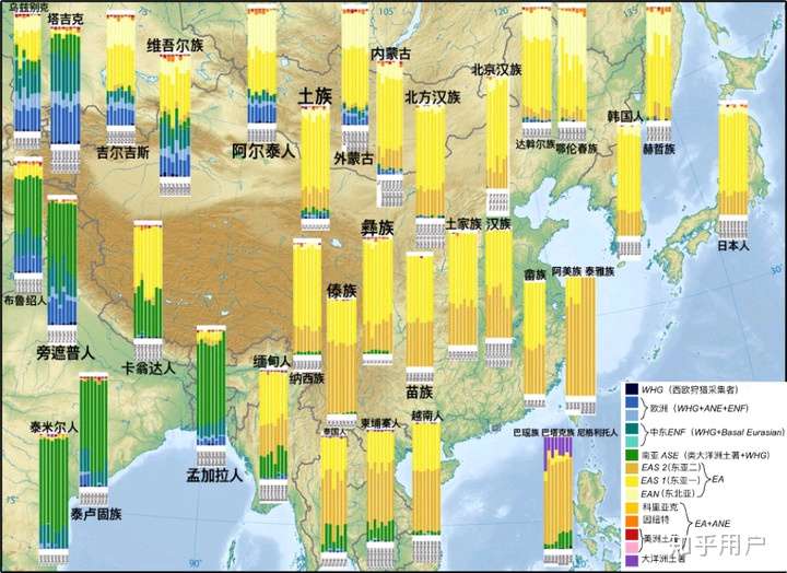 都说汉族是个大杂烩为什么汉人基因的染色体却很纯正