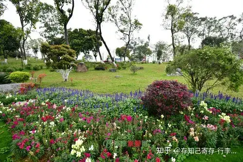 去东莞旅游有哪些景点推荐？