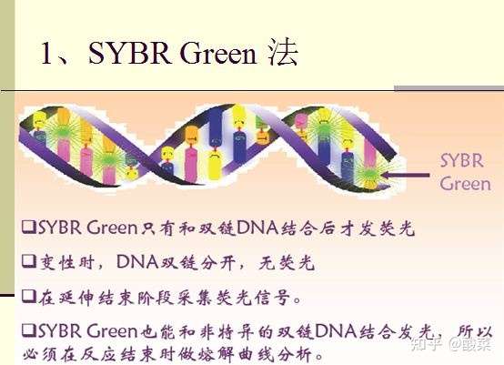 生物分子类实验室常用实验技术原理汇总 知乎