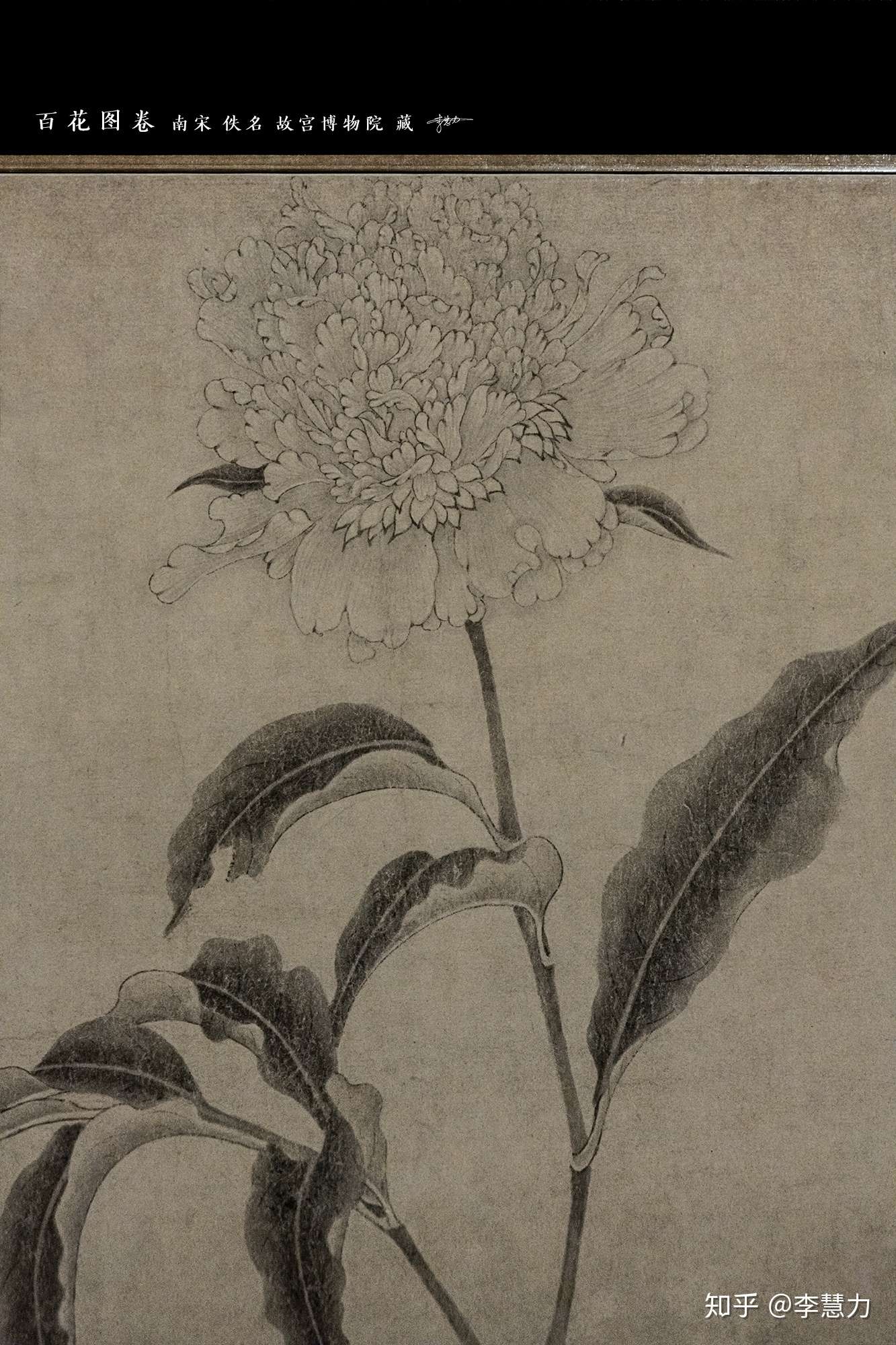 一张实在不想拍 但又实在忍不住的画 知乎 一张实在不想拍 但又实在忍不住的画 知乎