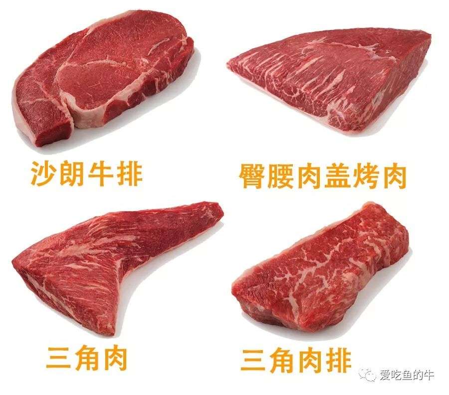 牛排部位详解 让你像屠夫一样熟知牛肉的终极指南 下 知乎 牛排部位详解 让你像屠夫一样熟知牛肉的终极指南 下 知乎