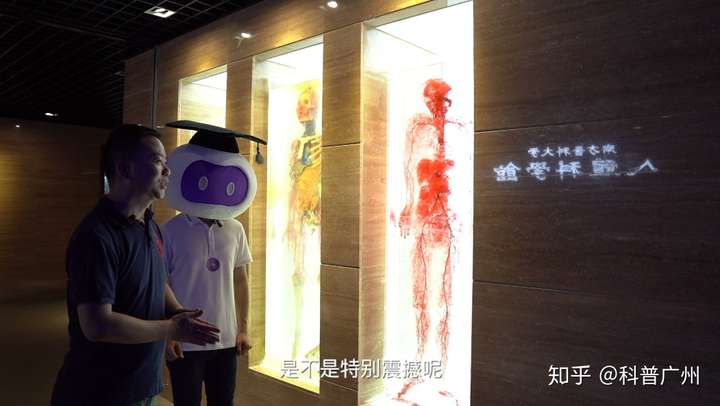 "广州这些必打卡的主题博物馆"——南方医科大学人体科学馆,跟着科