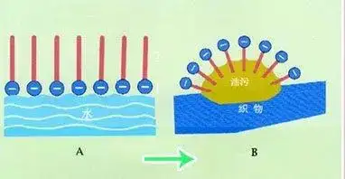 上的油污结合,而亲水基则与水亲密结合,同时这种结构还具有乳化作用