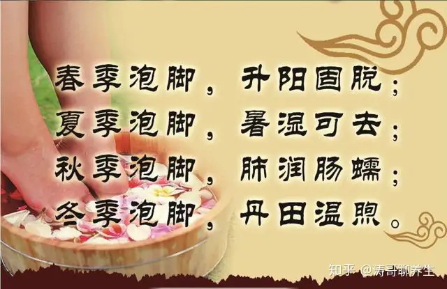 四季养生话足浴丨四季养生足浴粉的功效