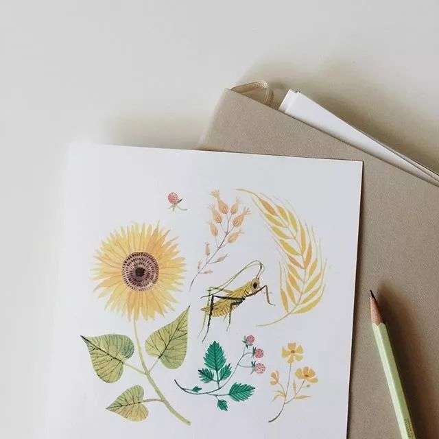 世界上最昂贵的十样奢侈品，有一样就很了不起