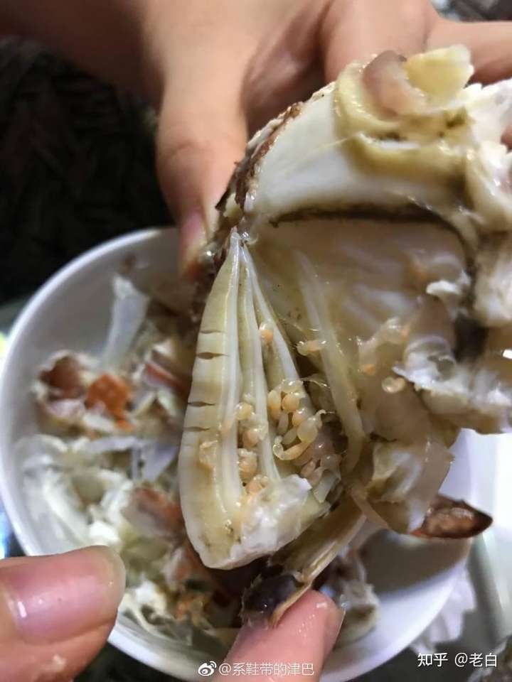 蔓足亚纲海产甲壳动物,类似藤壶,茗荷介属,英文sacculina.