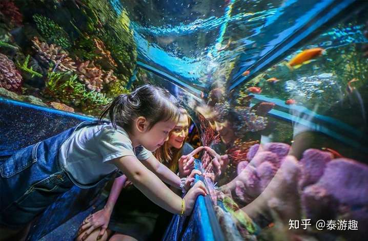 曼谷暹罗海洋世界 带你探索美丽的海底世界 知乎