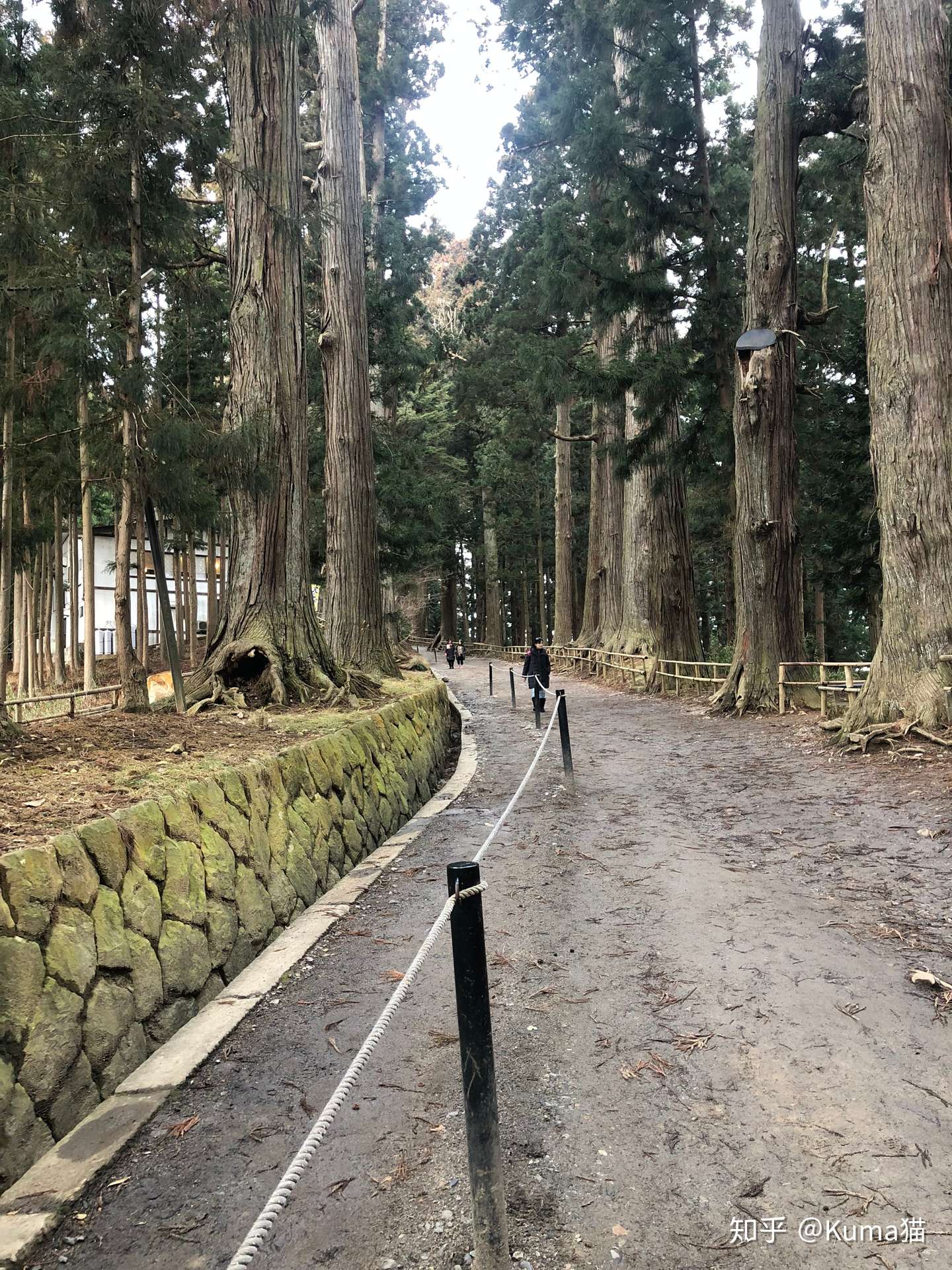 四寺廻廊 日本寺庙巡礼之漫游奥羽 下 知乎