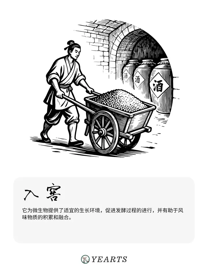 图片[10]-传统白酒酿造工艺流程-yearts