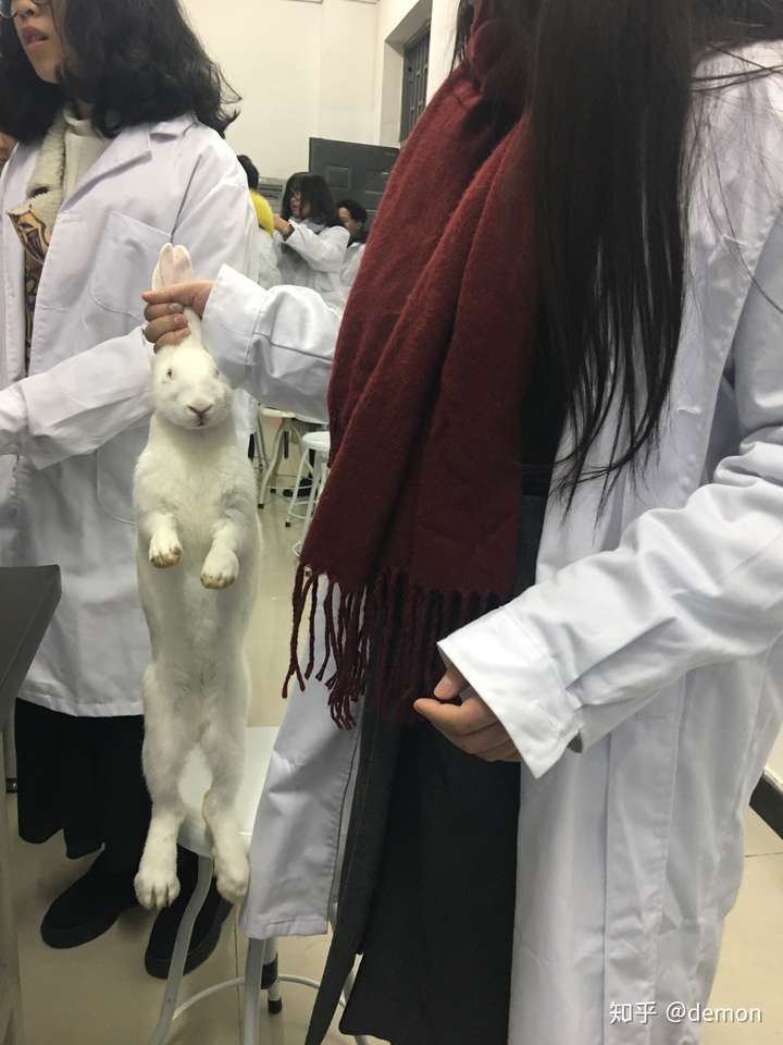 学医的女生有多可怕?