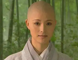 金庸世界的小人物4仪琳的未完成事件