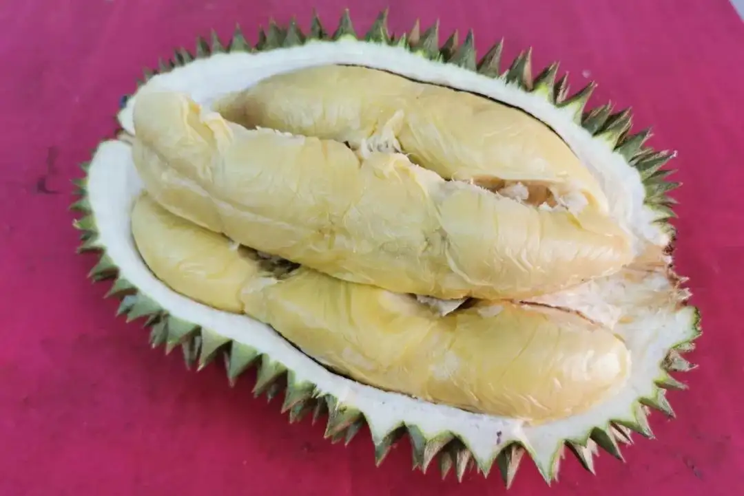 榴莲庄园的果树下 我才知道什么是梦幻般的滋味 知乎
