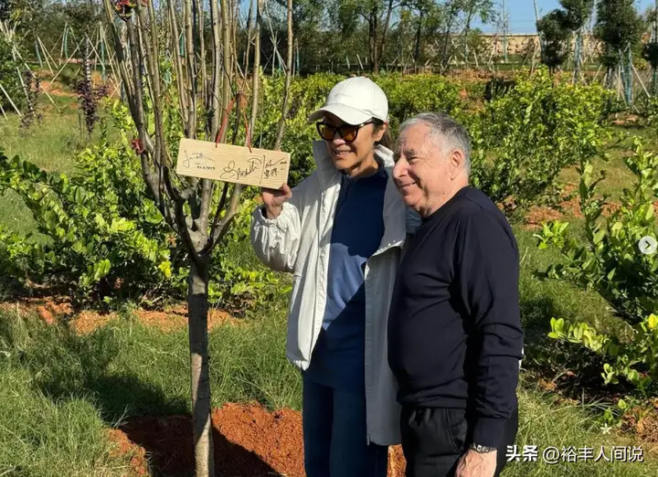 杨紫琼晒婴儿脚丫照（婴儿真实身份揭秘）