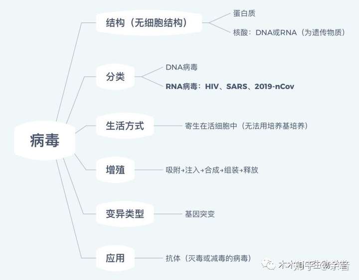 高中生物新冠病毒有关知识总结
