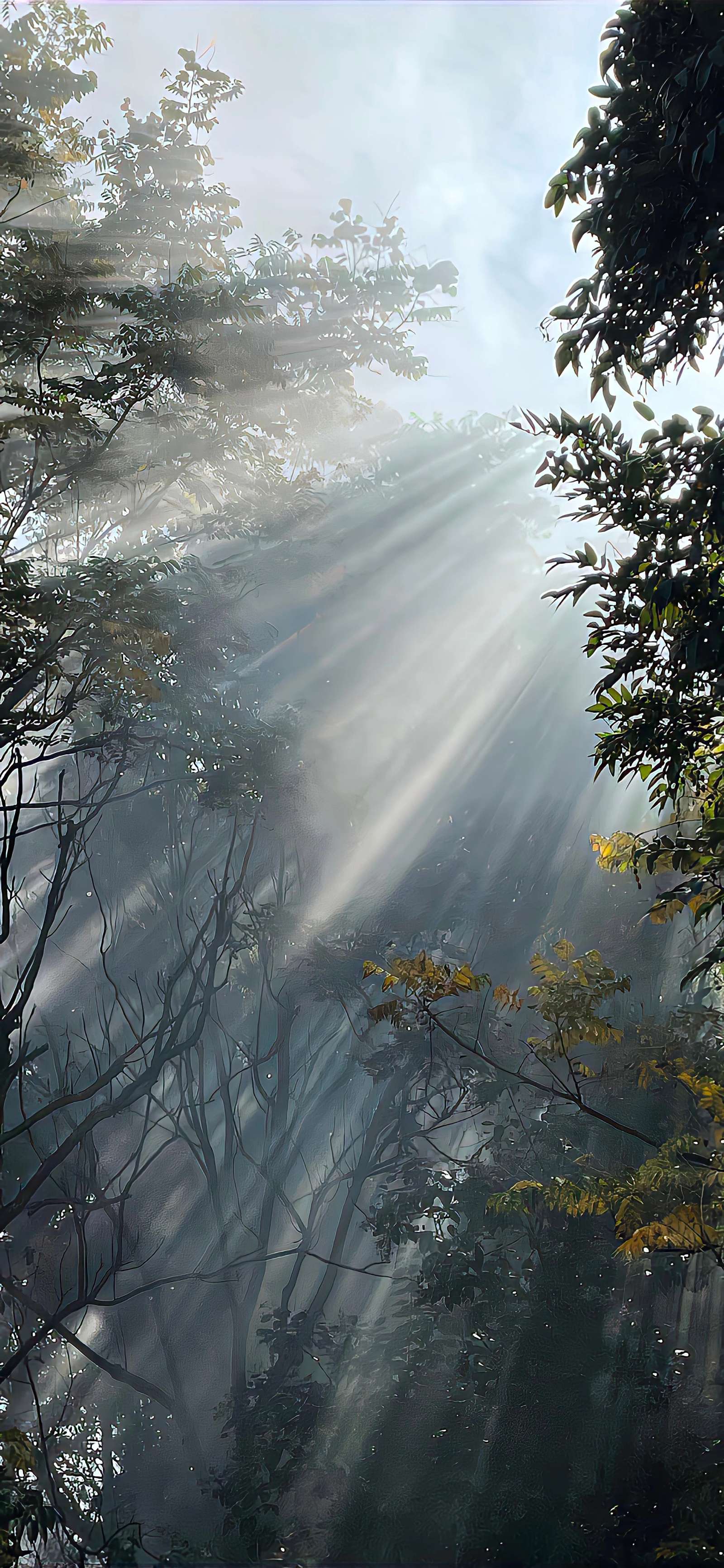 小青蛙爬呀爬 的想法: 超高清壁纸无水印 拿去不谢 | 唯美意境美图