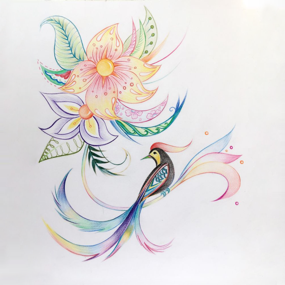 想要提高画画线条能力 可以练习凤尾花 彩铅手绘教程 知乎