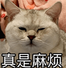 DeepMind率先提出CoF：视频模型有自己的思维链