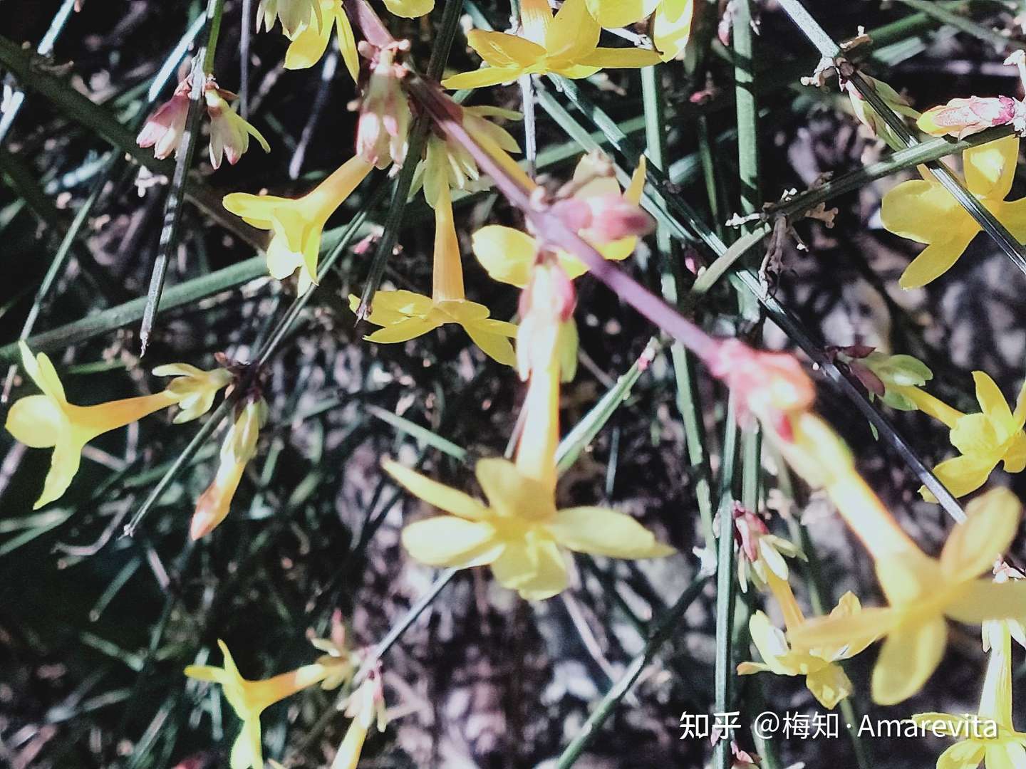 黄渤 二月十日 21年 365日 一日七话题 知乎