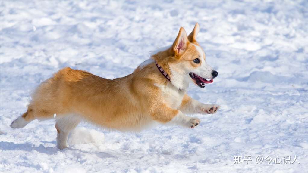 大年初十 十全十美 从初一到初十的含义你知道多少 知乎