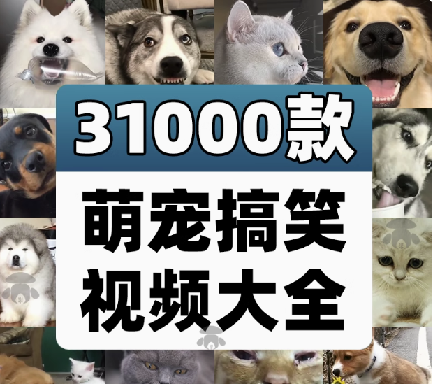 图片[1]-萌宠素材动物猫咪宠物搞笑抖音短视频直播高清无水印剪辑起号用素材【电商热销561】-暗冰资源网
