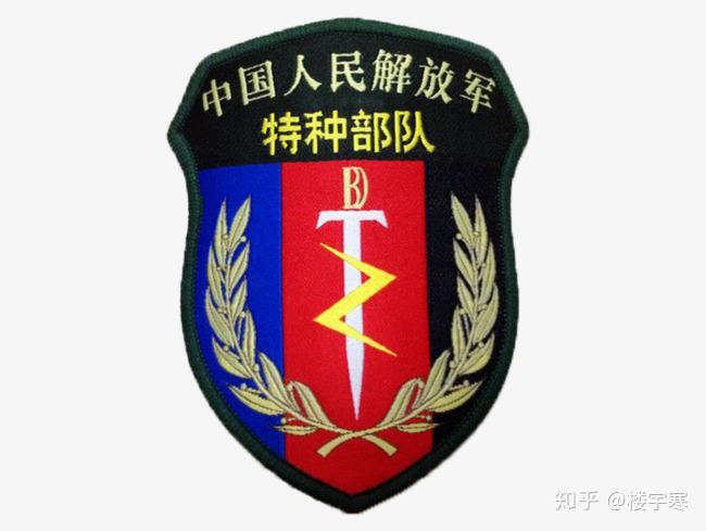中国陆军侦察兵徽章图片