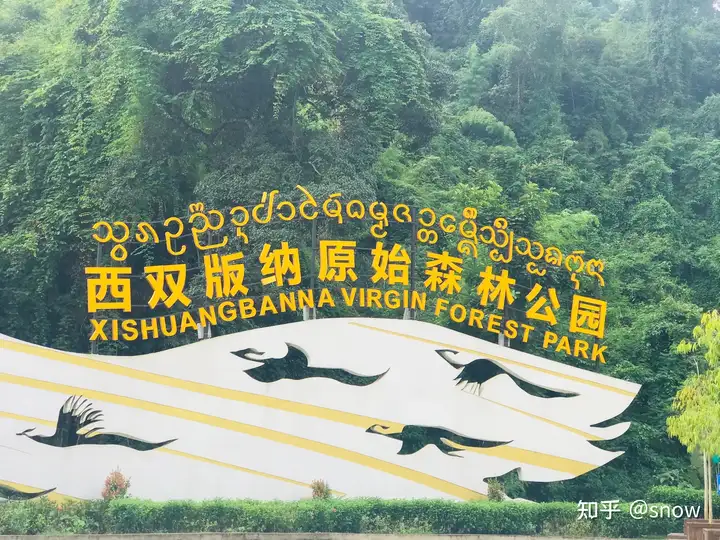 西双版纳6天5晚计划行程