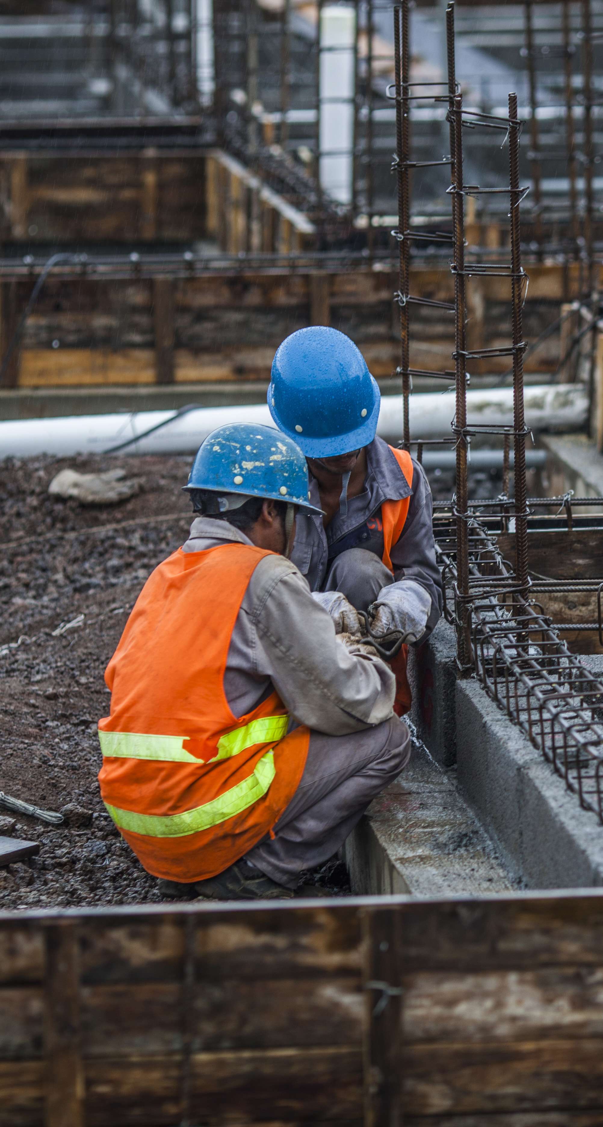 cpolar远程桌面 的想法: 生活的延续与辛勤劳作之间, 社会的进步