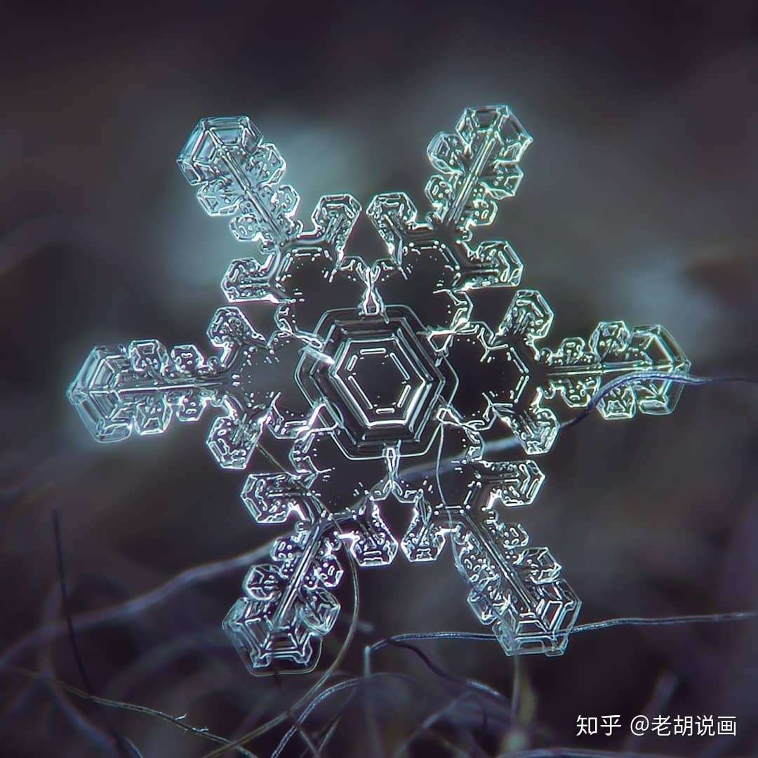 摄影 雪花可以有多美 知乎