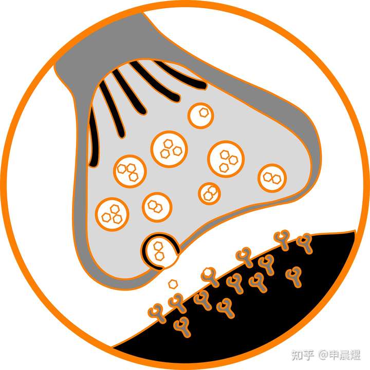 如何通过化学方法从本质上改善心情?