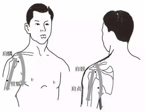 北京年轮骨科医院罗辉医生：妙手仁心，专攻肩周炎难题