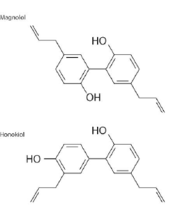 納米脂質體包裹厚朴提取物nanoliposomalmagnolia