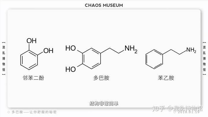 怎样促进人体产生多巴胺 知乎