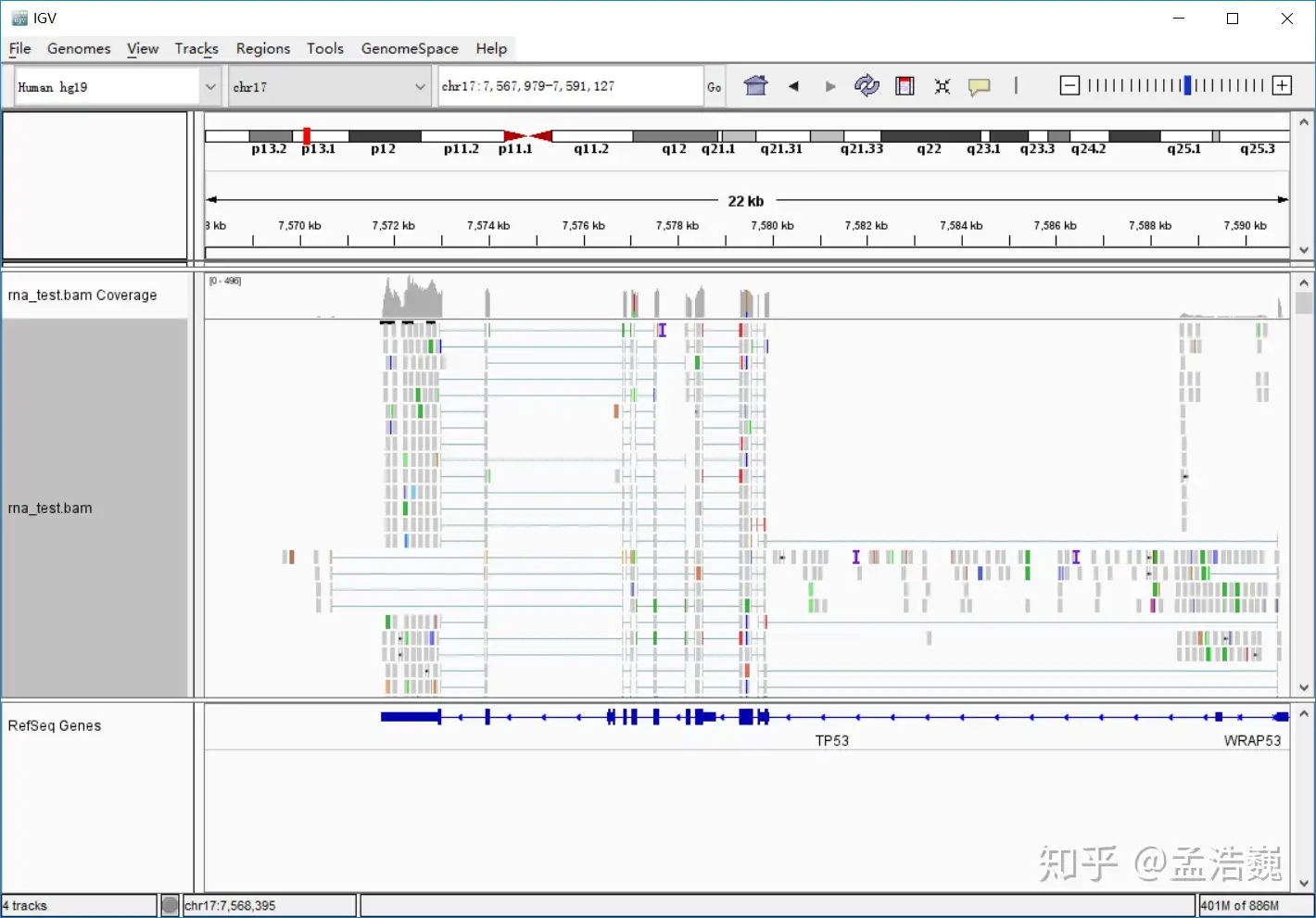 生物信息学100个基础问题—— 第30题IGVTools使用的一些小技巧- 知乎