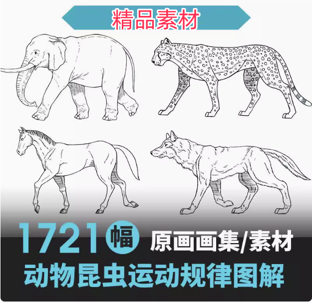 图片[1]-1721幅原画画集素材【动物昆虫运动规律图解】-动物昆虫图解素材合集 CG 动画 原画动作表演参考素材【电商热销67】-暗冰资源网