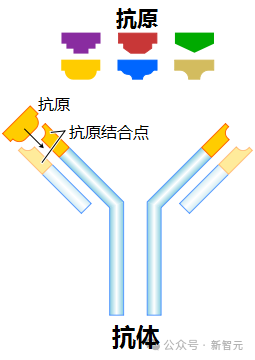 诺奖得主Hassabis预言成真！AI零样本发现新抗体，轰动整个医药圈