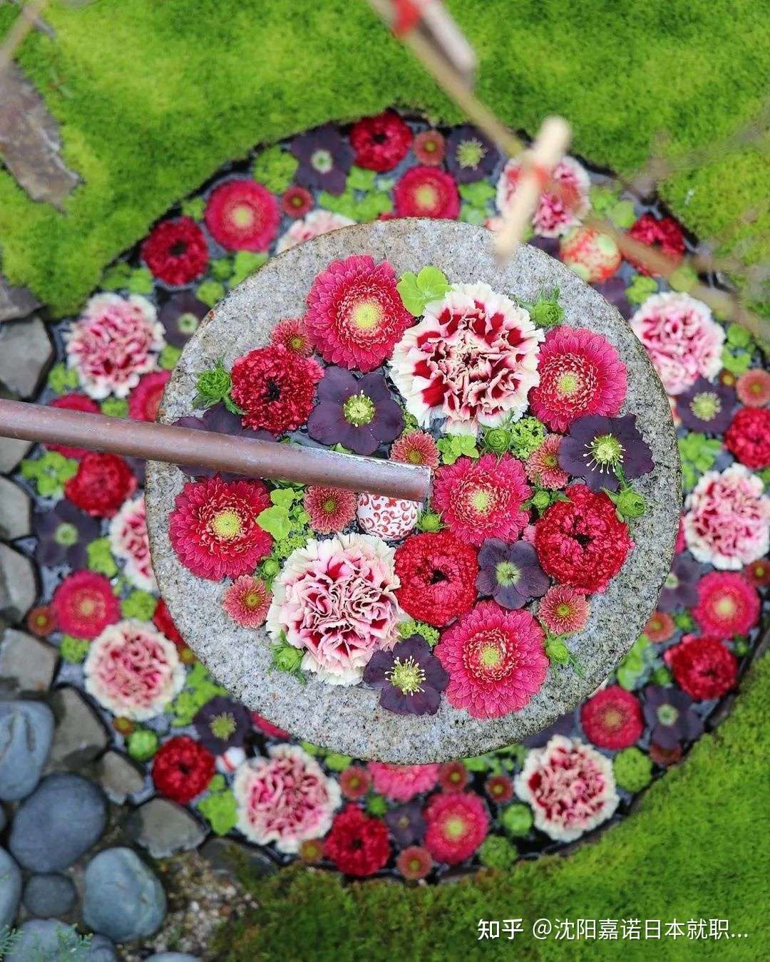 绝美 行田八幡神社的花手水 每月都有美好放映 知乎