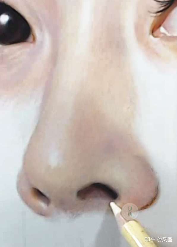 彩铅超写实 原来画鼻子这么简单 知乎