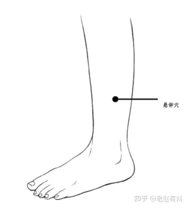 绝骨的位置和方法图片