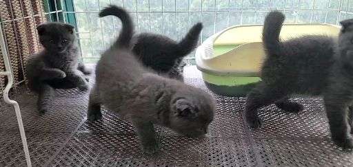 v2-2325977552a89085e5407a8f5adf147c_720w.jpg?source=1940ef5c