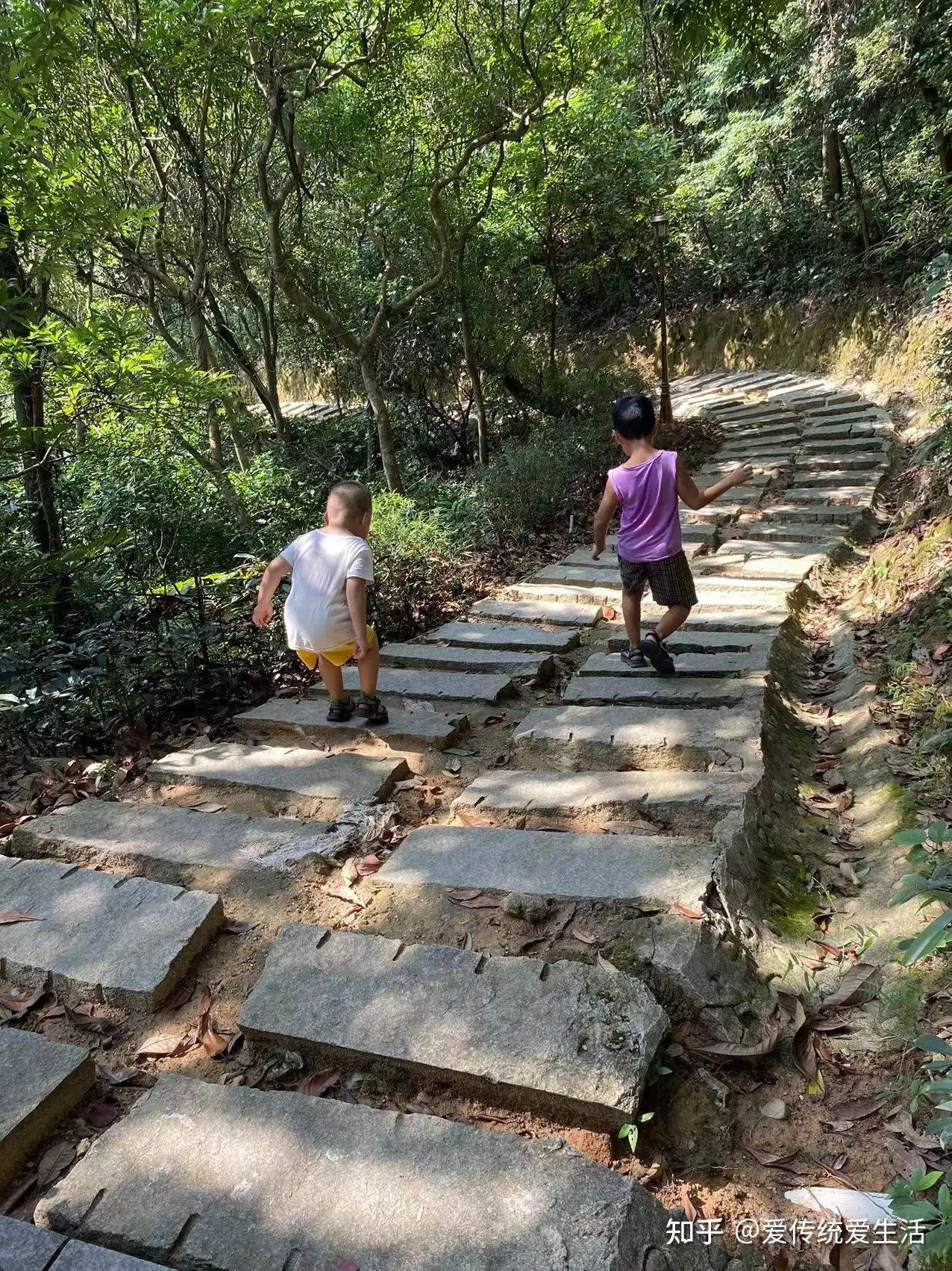 深圳人假期登大阳台山攻略 知乎