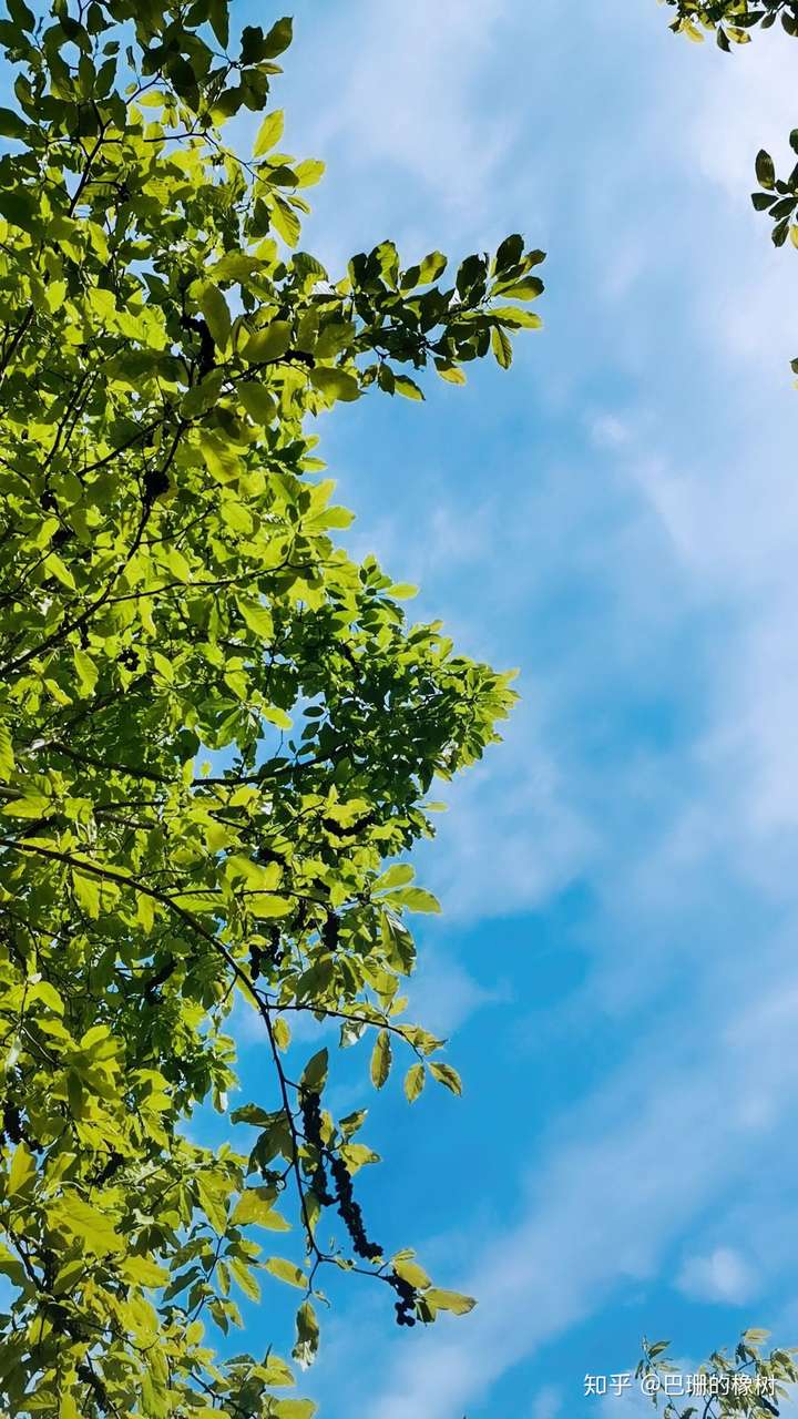 能发一张你拍过最好看的天空的照片吗? - 知乎