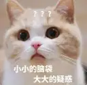国内三代试管的费用（中医助孕,为您带来“好孕气”!）