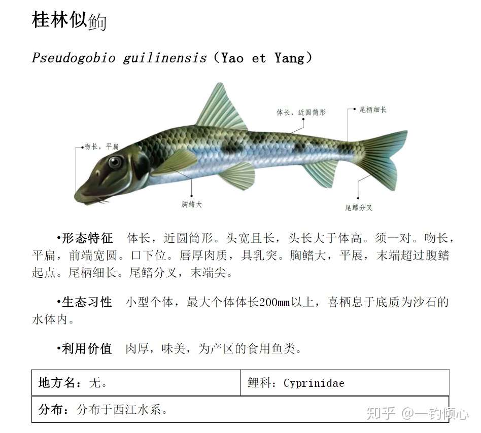 鱼竿使用一定注意这3点 轻松让你鱼竿多用2年 知乎