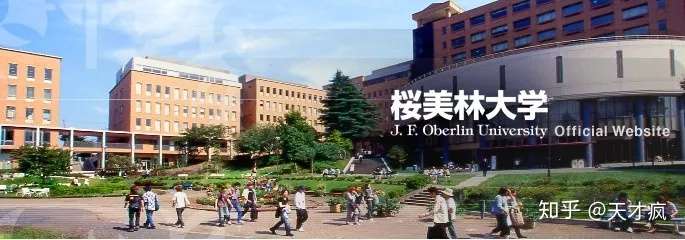 浅谈樱美林大学留学条件 知乎